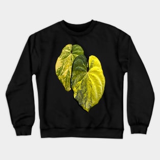 ANTHURIUM ACE OF SPADES VARIEGATED Crewneck Sweatshirt